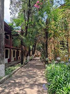 Kunming - Universite du Yunnan (23)